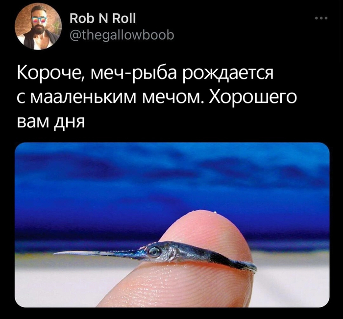 - , , X (Twitter), -, 