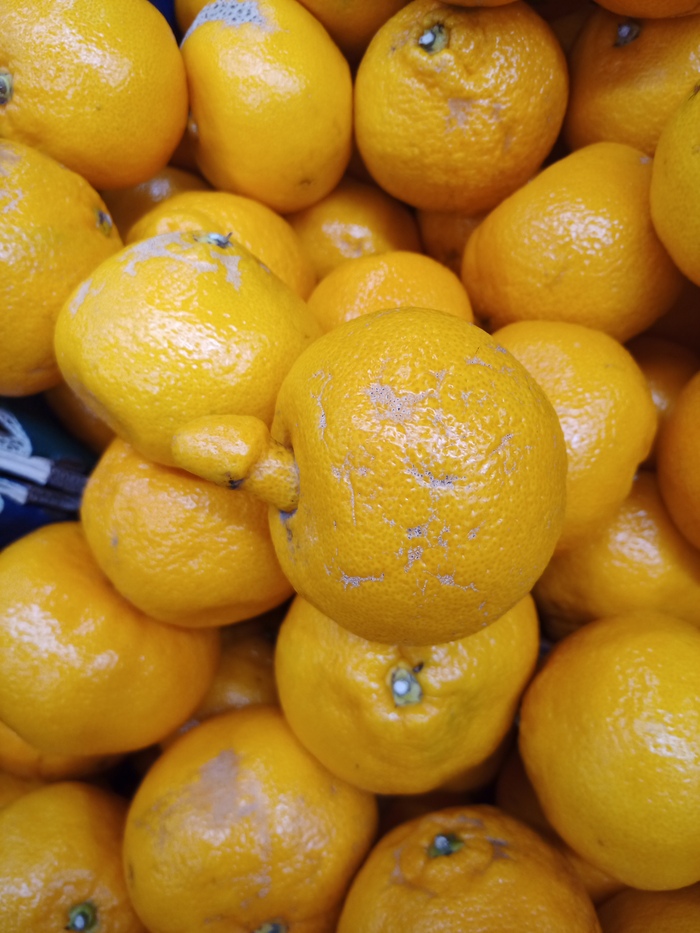 Настоящий самец мандаринки;) | Пикабу