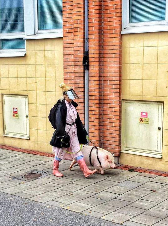 ������ �� ������...