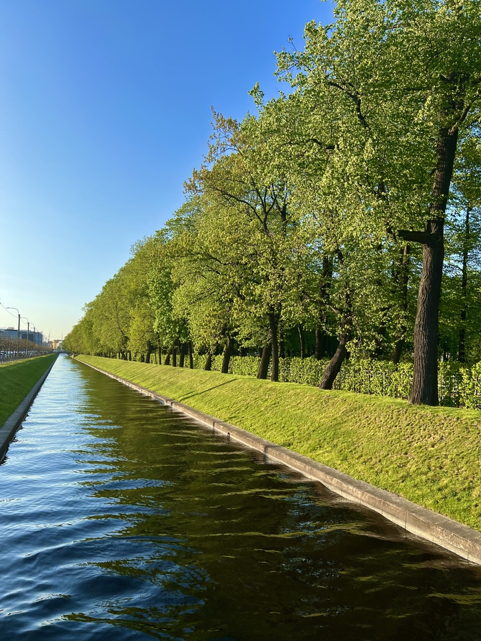 Летняя перспектива