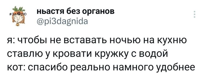 ������ � �����