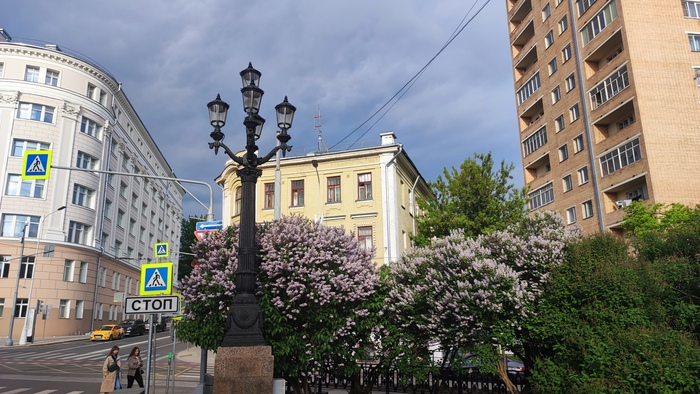 Я покажу тебе Москву... Мобильная фотография, Москва, Прогулки по Москве, Пешие прогулки, Длиннопост