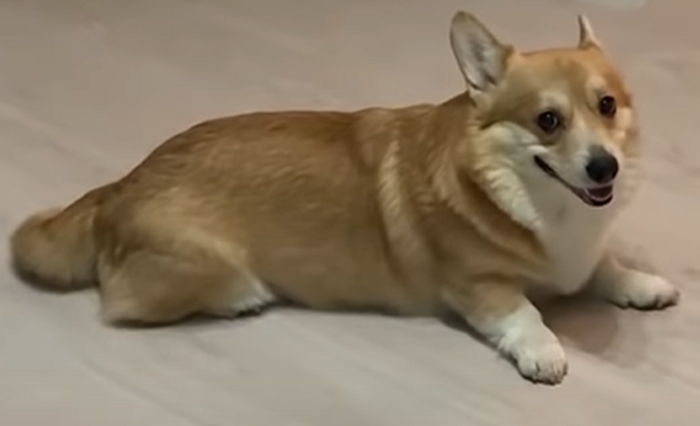   , , , , ,   , ,   , 