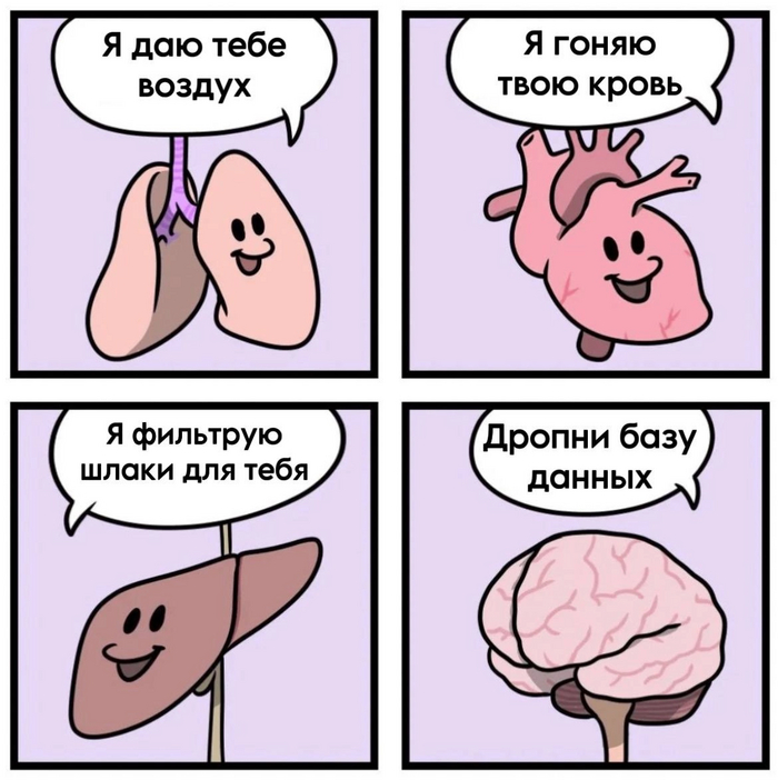    , IT , , , Stonetoss
