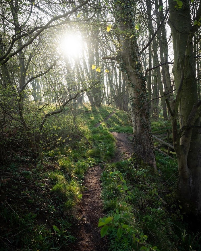 Сейчас бы вместо работы в лес