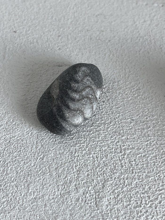 Окаменелость