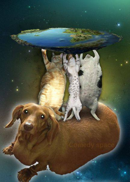 Я так и знал...