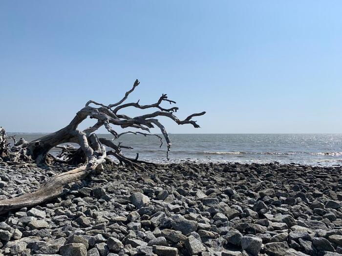 Jekyll Island. . ... , , ,  , , 