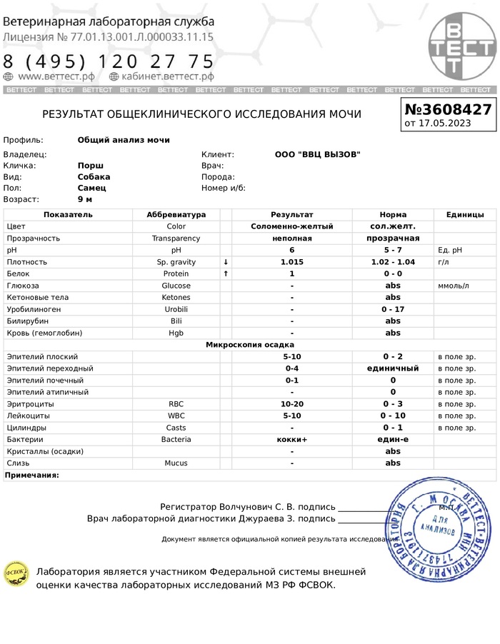 Питомник фон кристин хоф