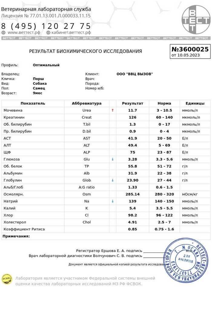 Питомник фон кристин хоф