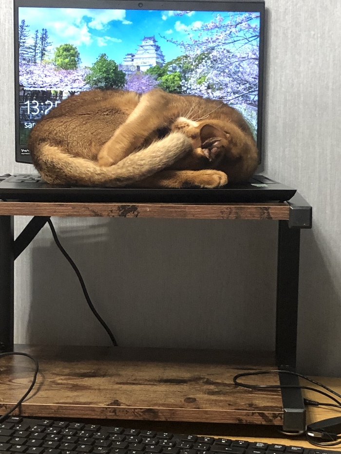 ,      , , ,  