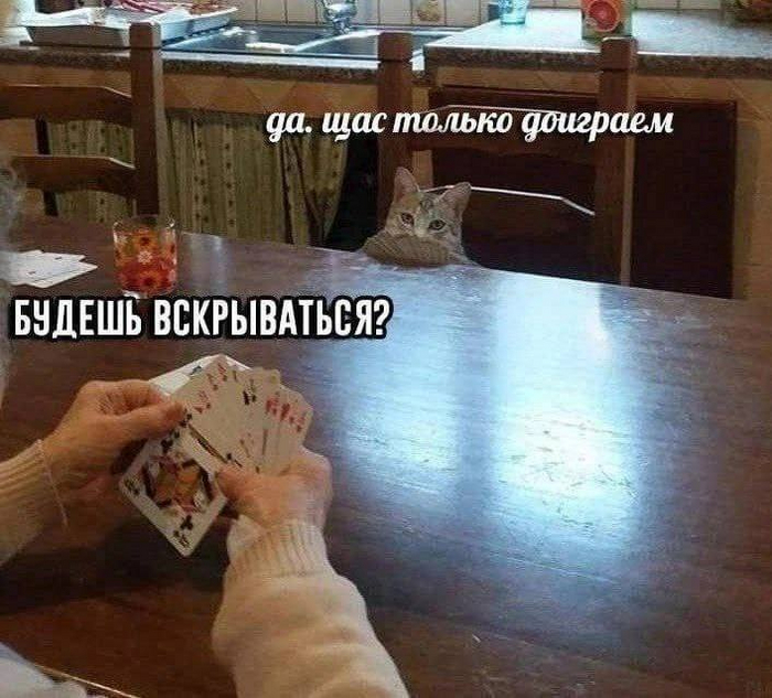 [] ,   , 