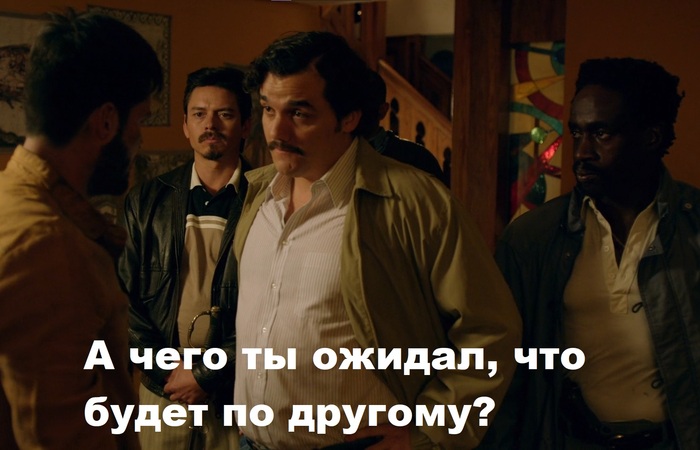 Ответ на пост &laquo;Вино за 250р выиграло золотую медаль на Международном конкурсе вин&raquo; Сомелье, Вино, Новости, Юмор, Ответ на пост, Длиннопост