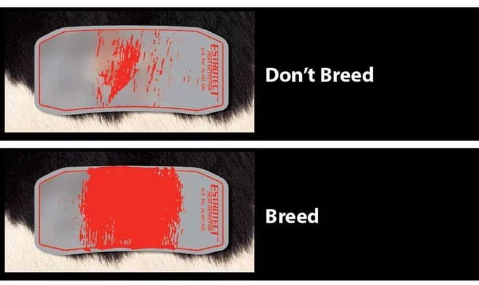 Что это за штука - 180 Reddit, WhatIsThisThing, Перевел сам, Видео, YouTube, Длиннопост Что это за штука - 180 Reddit, WhatIsThisThing, Перевел сам, Видео, YouTube, Длиннопост