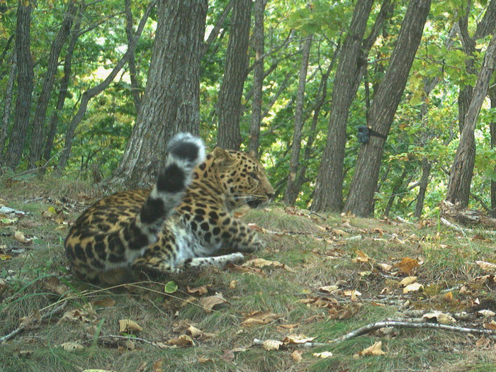 Солнечные ванны | Пикабу