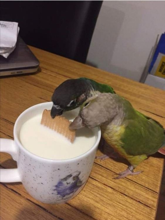 Так вкуснее