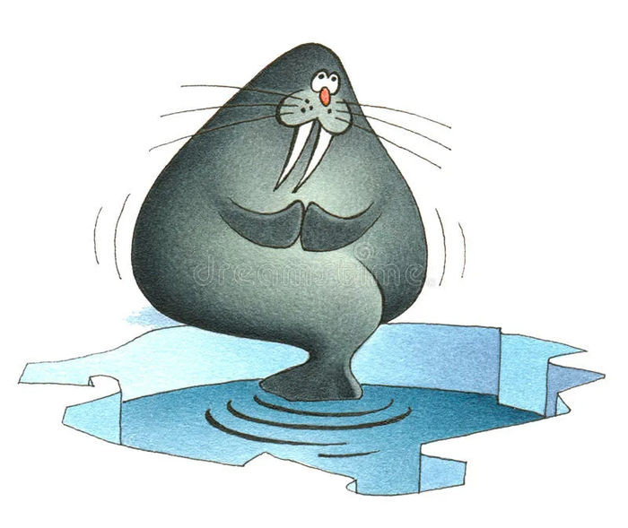 ��� ���������� � ������ (���� �� ���������� �� �����)