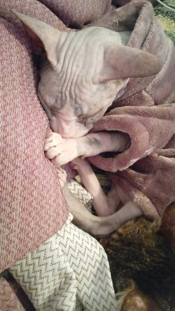 ��������