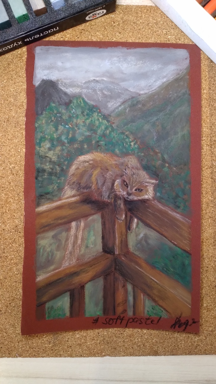 Своенравный кот