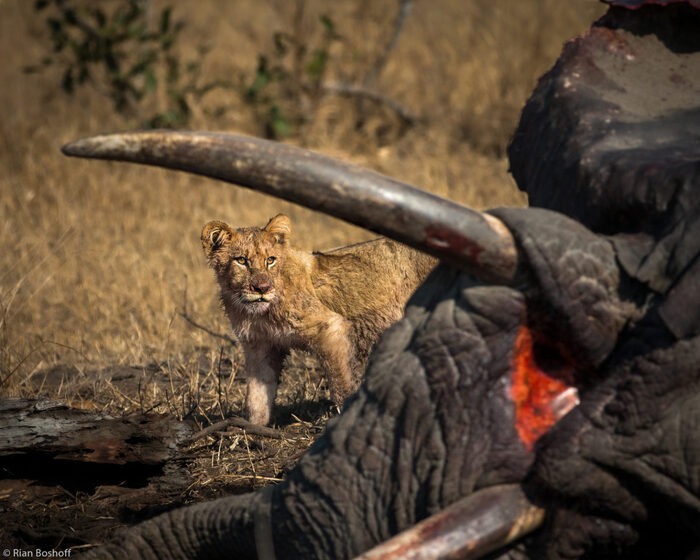 Это всё мне?
