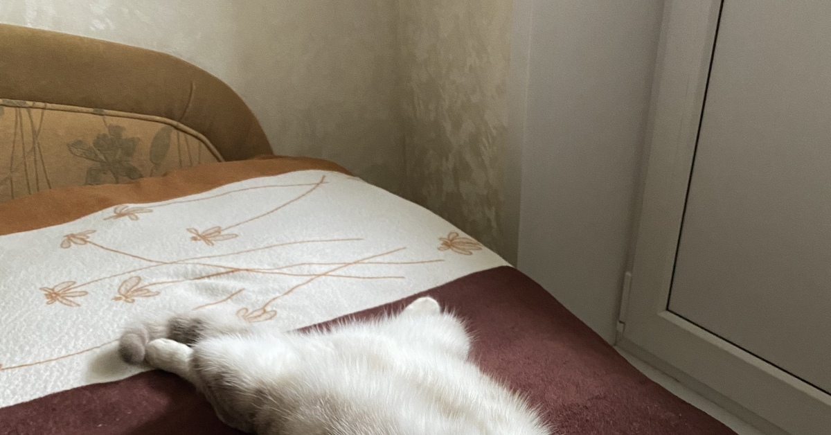 Лежебока | Пикабу