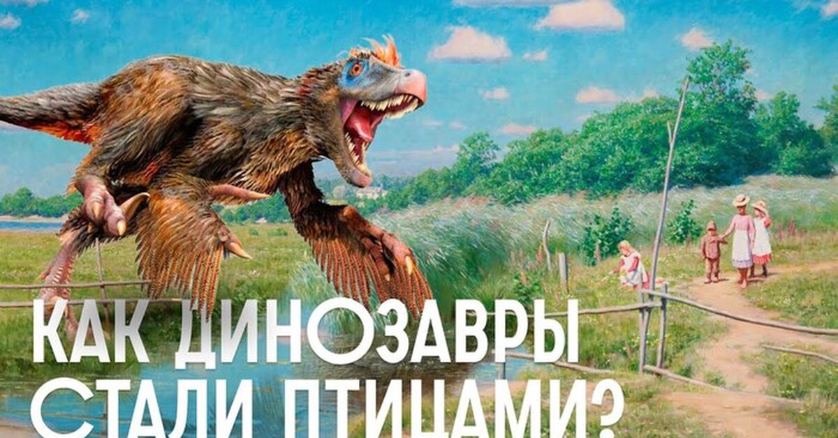 Как динозавры стали птицами | Пикабу