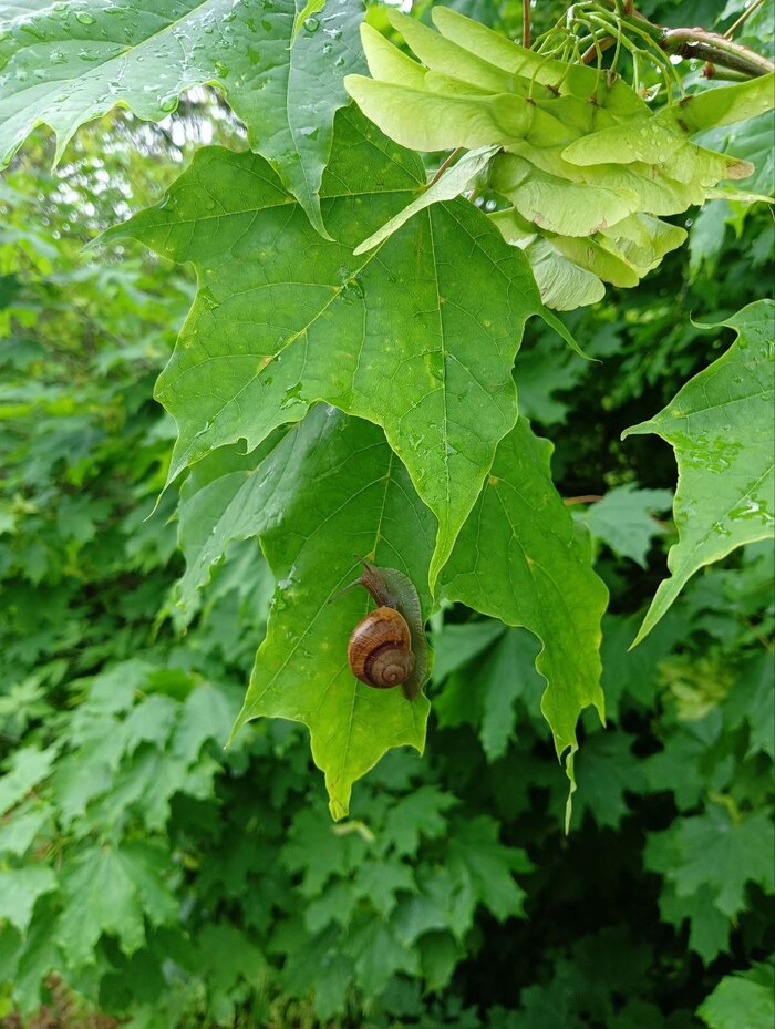 ������ ���� �� ������ �� ������