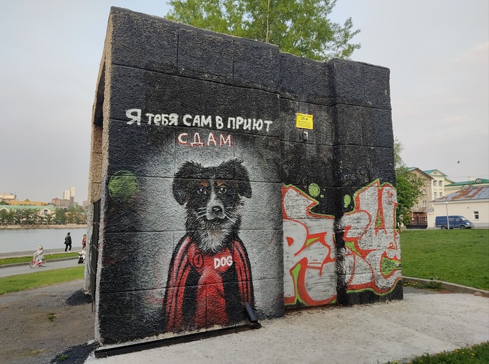  (    -)   ,     #142