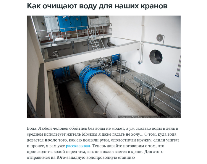 Бактерии в воде под микроскопом | Пикабу