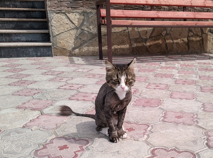 ����� ���� ���������, �� ���� �� ��������