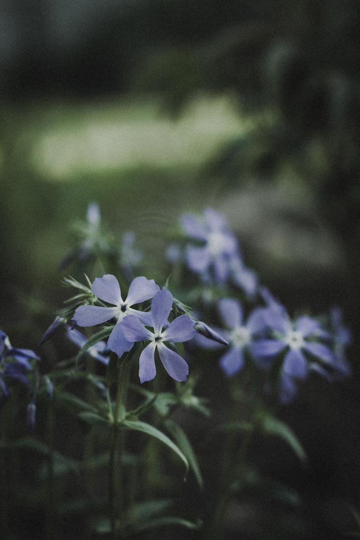  , Canon, Canon EOS1200d, , , , , 