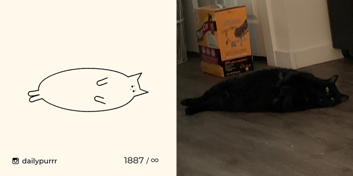 Когда не спеша эволюционируешь в ламантина