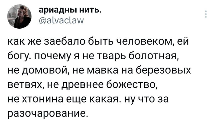 ���� ����