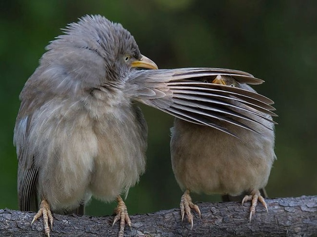 А тебе слово никто не давал!