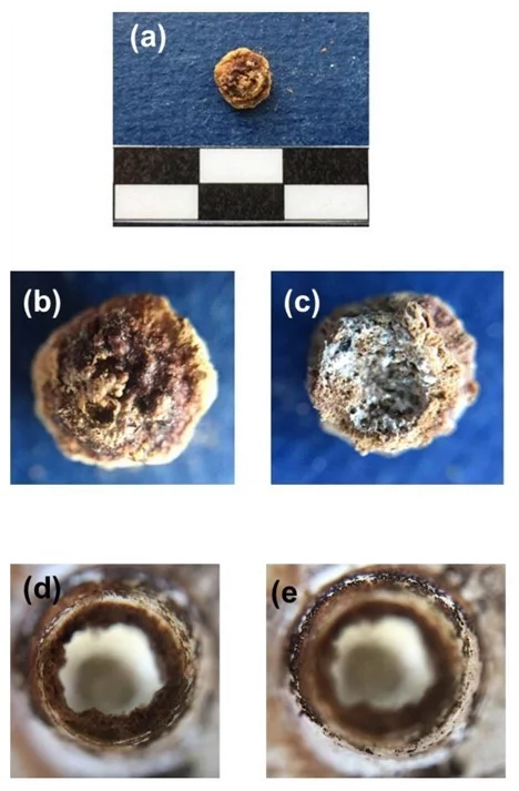Удивительная находка: археологи нашли духи возрастом почти две тысячи лет в закупоренном флаконе в нетронутой римской гробнице в Испании Археология, История (наука), Научпоп, Древний Рим, Длиннопост Удивительная находка: археологи нашли духи возрастом почти две тысячи лет в закупоренном флаконе в нетронутой римской гробнице в Испании Археология, История (наука), Научпоп, Древний Рим, Длиннопост