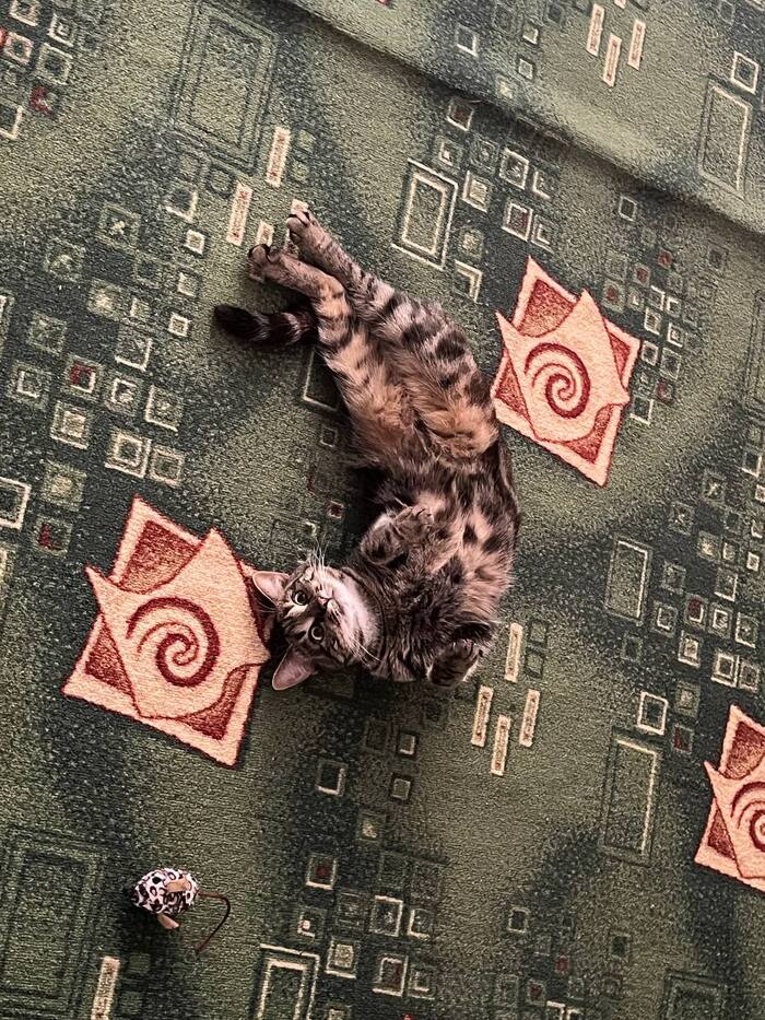 �������)))