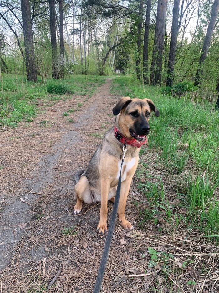 Пост отчаянной просьбы!