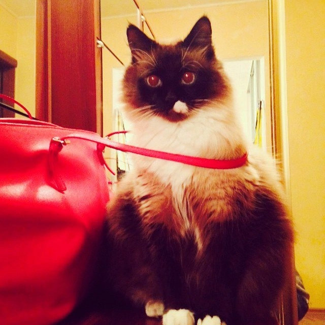 ����� �� ���� ���� ������ �������� ������������, �� ������ ����� � ����� ��� ������