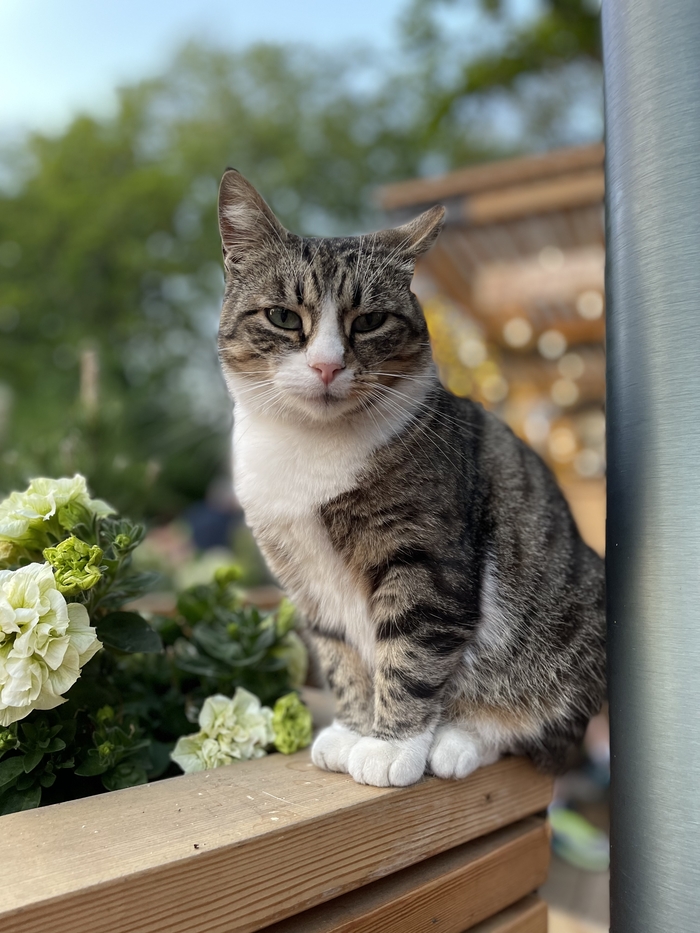 ��������������