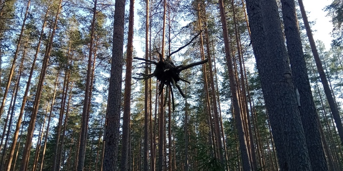 ��������� � ����