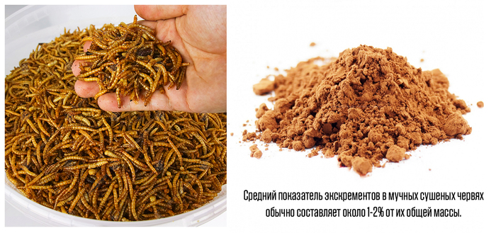 Как узнать нужную информацию у чатаGPT