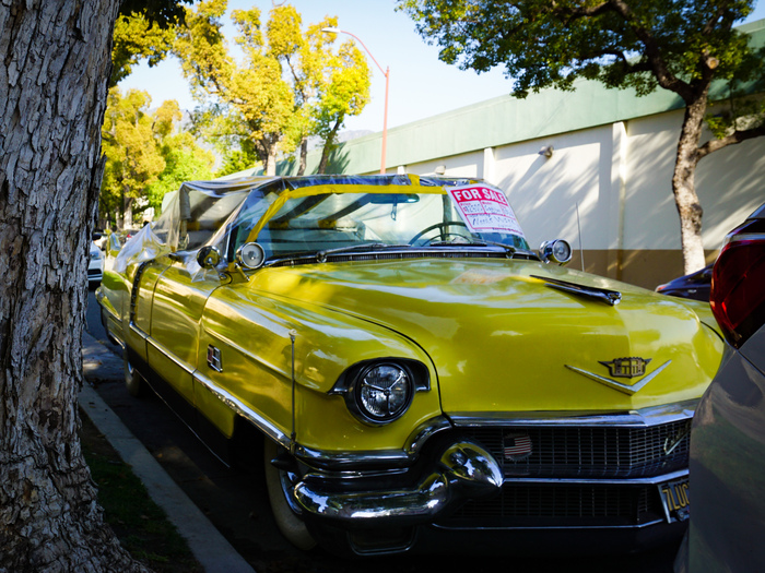 ���� ���