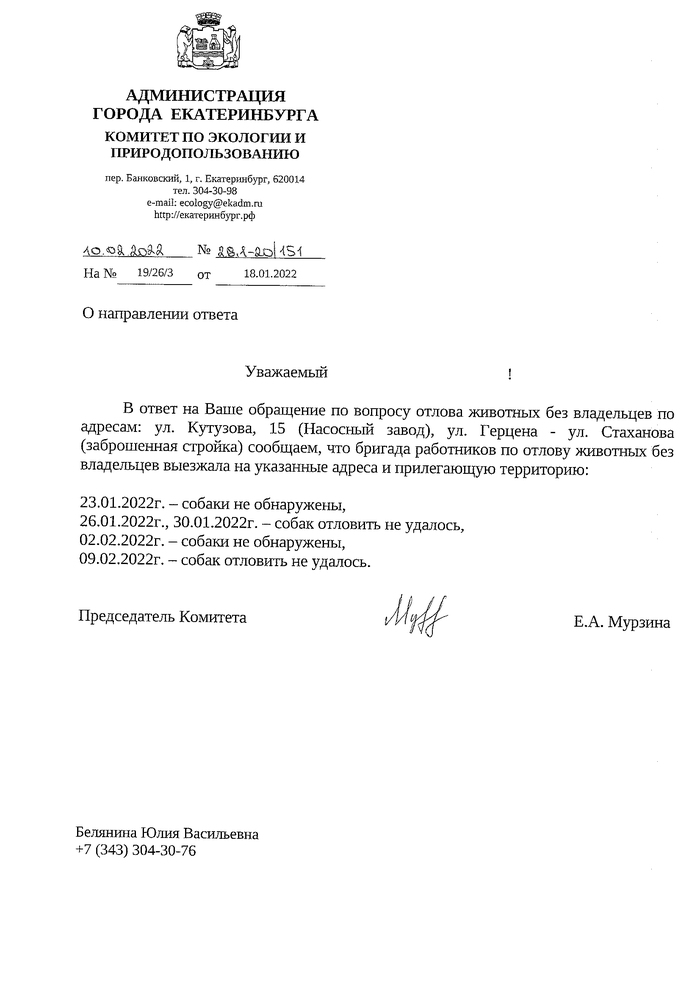 Ответ на пост &laquo;В садах под Екатеринбургом стая бродячих собак разодрала женщину&raquo; Бродячие собаки, Нападение собак, Собака, Негатив, Текст, Екатеринбург, Бездействие власти, Ответ на пост, Длиннопост