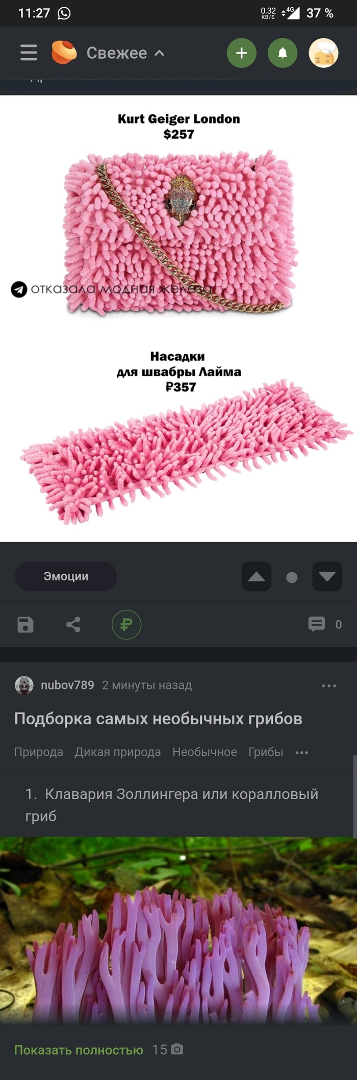 Забавное совпадение - сумка, тряпка, грибы