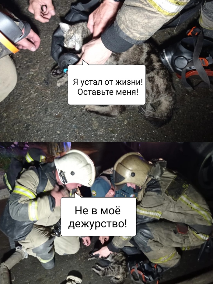 ����, ����!