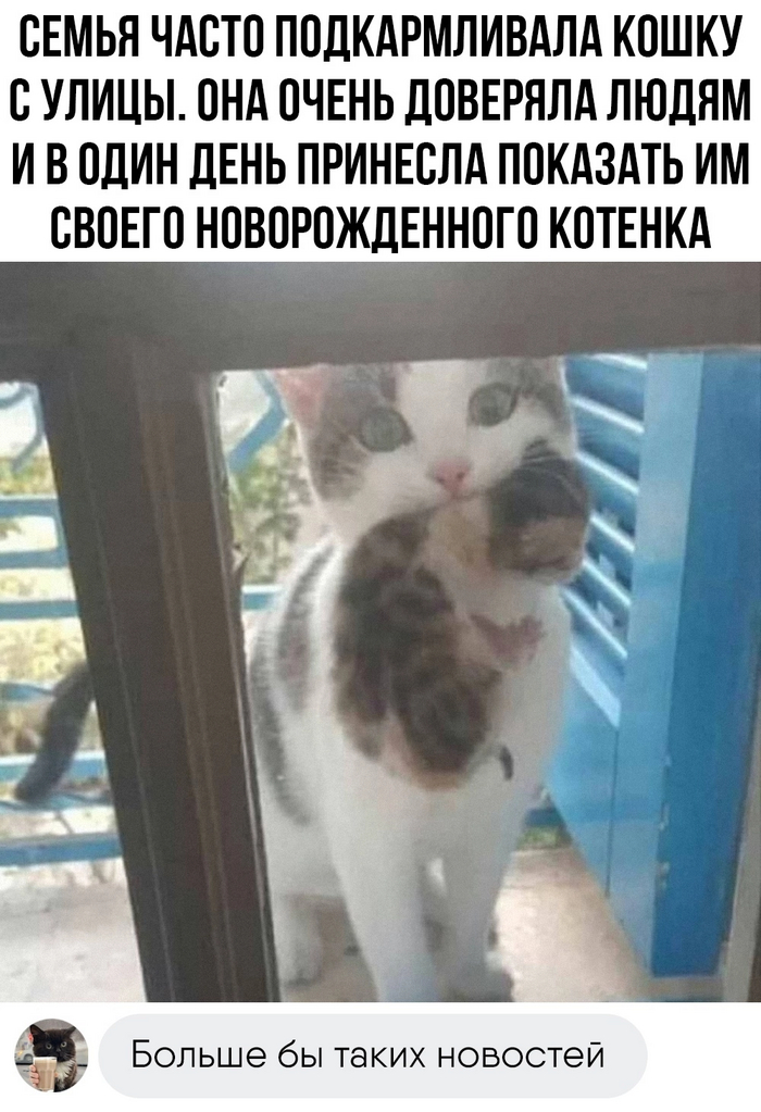 Самая добрая в мире новость