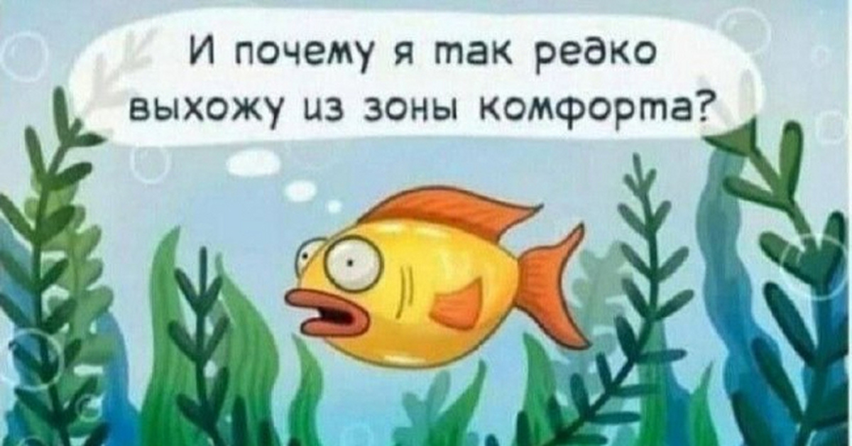 Зона комфорта | Пикабу