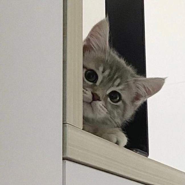 Вижу вы что то затеваете...