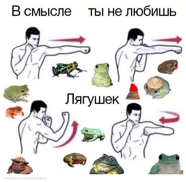 И жаб! | Пикабу