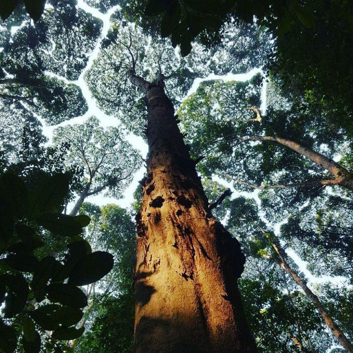   , , , 